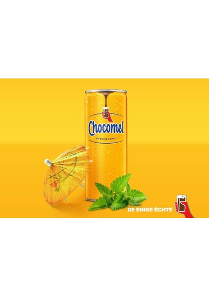 Sütlü Çikolatalı Içecek 250ML