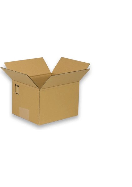 Çift Oluklu Koli 25 x 21 x 17 Kraft 3 Desi 30 Adet