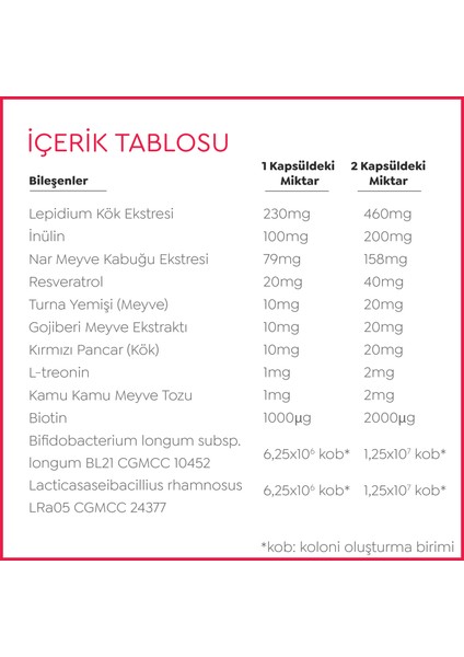 Probiome-Boost Takviye Edici Gıda (60 Kapsül)