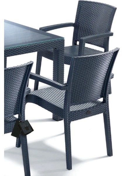 6 Adet Victor Koltuk Rattan Bahçe Balkon Masa Takımı 6 Kişilik Large 90 x 150 cm Camlı Set Pro 1.