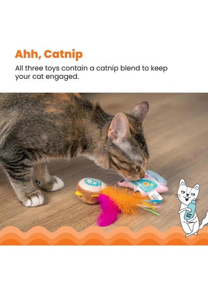 Festival Catnipli Kedi Oyuncağı 3' Lü Paket