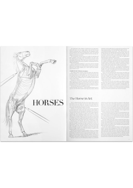 Horses No Atlar N6 - Vinciana Editrice fiyatları