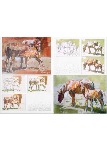 Horses No Atlar N6 - Vinciana Editrice modelleri