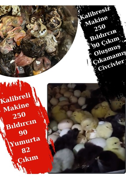 Evonest Kuluçka Makinesi 110-130 Tavuk Yumurtalı 5 Programlı Nem Göstergeli (Ücretsiz Danışmanlık Hizmeti) modelleri