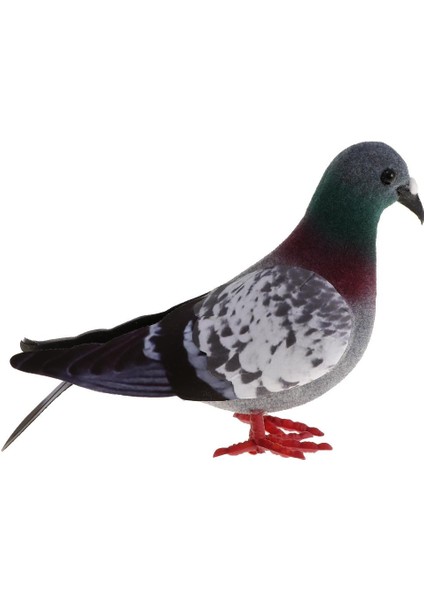 2x Güvercin Tüylü El Sanatları Avlu 2 (Yurt Dışından) modelleri