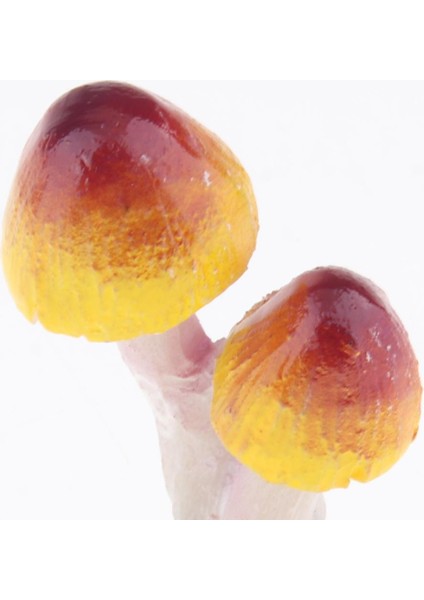 Minyatür Figür Mikro Dekoru 3 Baş B (Yurt Dışından) fırsatları