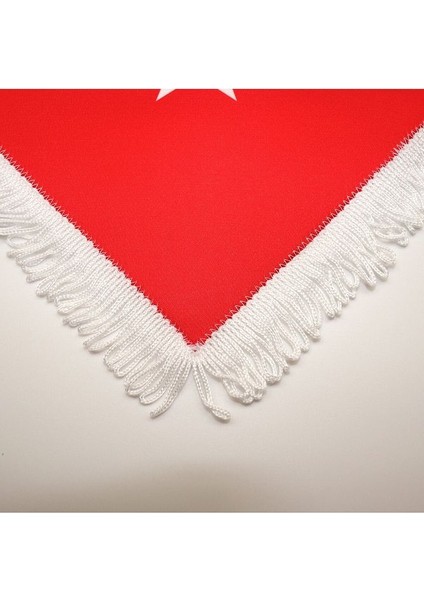 Türk Takdim Flaması