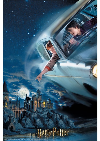 Harry Potter Puzzle 300 Parça 33011