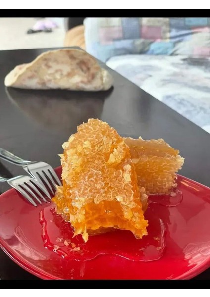 Geleneksel Ürünler Organik Şekersiz Reşadiye Yayla Petek Balı 1000 gr