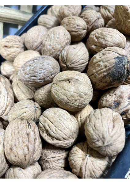 Geleneksel Ürünler Turhal Cevizi Kabuklu 1000 gr modelleri