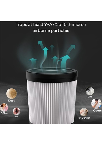 FSV001,FSV101,GIRNOOR G160&G165, 202 Kablosuz Çubuk Temizleyiciler Için Hepa Vakum Filtresi (Yurt Dışından) indirimleri