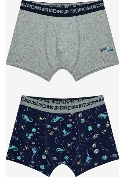 Erkek Çocuk Astro Dino Çok Renkli 2li Boxer