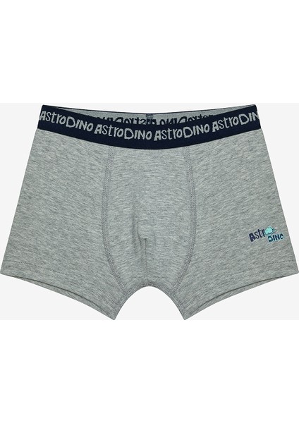 Erkek Çocuk Astro Dino Çok Renkli 2li Boxer