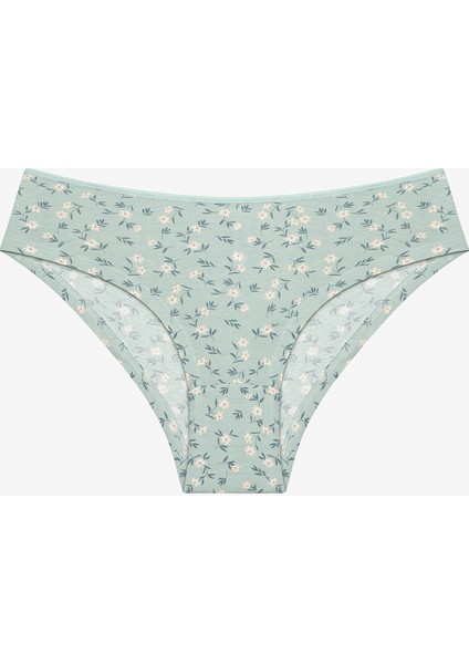 Daisy Day Pamuklu 3lü Çok Renkli Hipster Külot