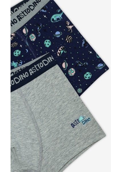 Erkek Çocuk Astro Dino Çok Renkli 2li Boxer