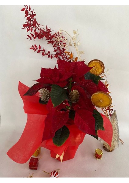 Hediyelik Yılbaşına Özel Süslemeli Atatürk Çiçeği Kozalak-Portakal Dahildir fiyatları