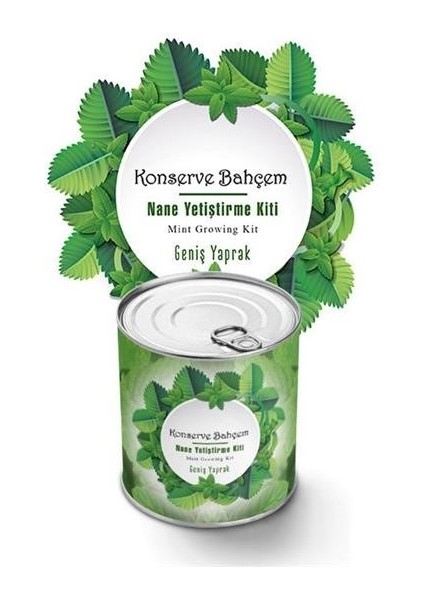 ® Konserve Bahçem Nane Yetiştirme Kiti