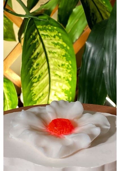 Tekno Trust 2'li Dekoratif Hediyelik Nilüfer Çiçeği Figürlü ve Nazar Boncuklu Kalp Model Banyo Sabunu indirimleri