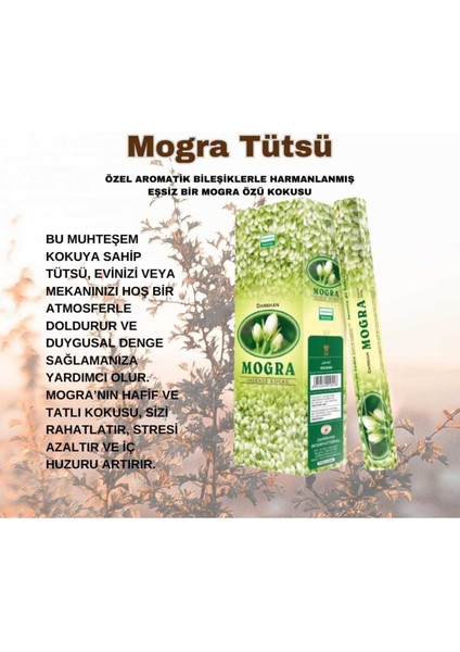 Mogra ( Denge ) Tütsüsü 20 Çubuk
