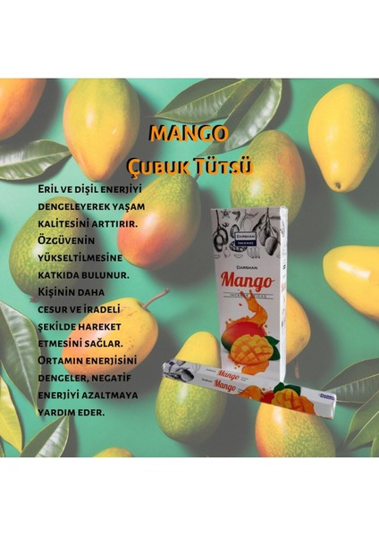 Mango Çubuk Tütsü 120 Adet