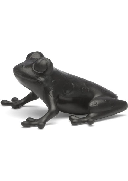 Forest Kurbağa - Oto Araç Kokusu, Araba Klima Kokusu, Oto Kokusu - Citrus & Amber