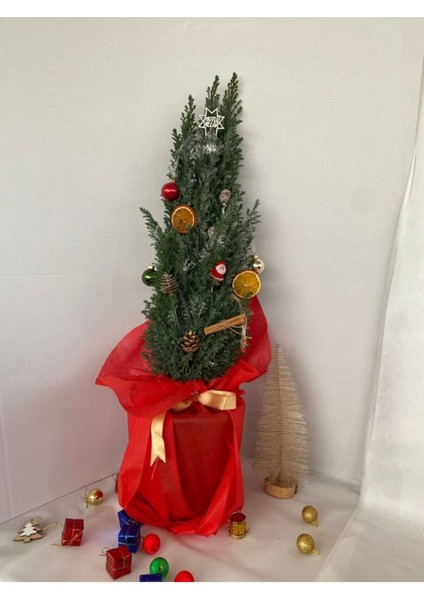 Hediyelik Elwoodi Yılbaşı Ağacı Süslemeli 40-70CM Kozalak+Portakallar Dahil