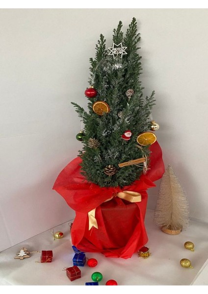 Hediyelik Elwoodi Yılbaşı Ağacı Süslemeli 40-70CM Kozalak+Portakallar Dahil