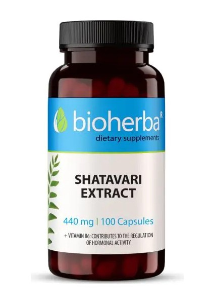 Shatavarı Hint Kuşkonmazı Şatavari Asparagusracemosus Extract 440 Mg 100 Capsules