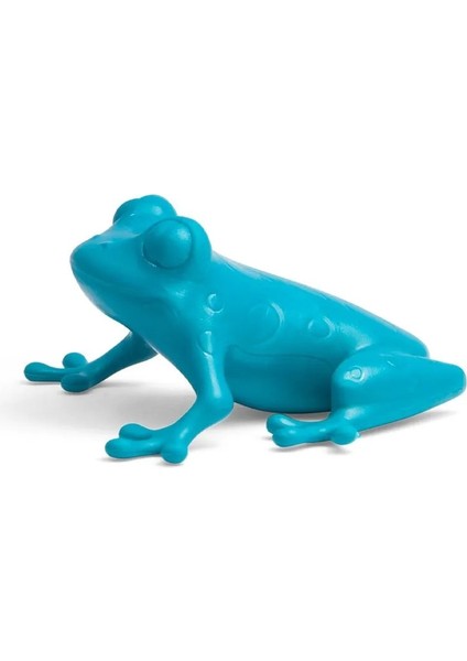 Forest Kurbağa - Oto Araç Kokusu, Araba Klima Kokusu, Oto Kokusu - Citrus & Amber