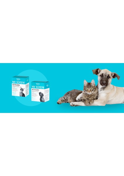 Premium My Totem Actiflora Kedi 30 Toz Saşe fiyatları
