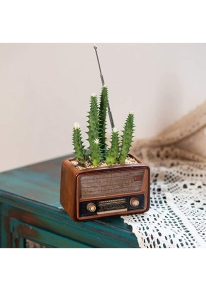 Retro Radyo Şekilli Çiçek Saksısı Sukulent Bitki Konteyneri Masa Kaktüs, B (Yurt Dışından)