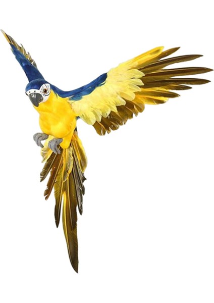 Kuş Tüyü Papağan Hayvanat Süs Heykelcik Ev Veranda Mavi Sarı Için (Yurt Dışından)