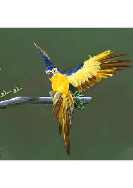 Kuş Tüyü Papağan Hayvanat Süs Heykelcik Ev Veranda Mavi Sarı Için (Yurt Dışından) indirimleri