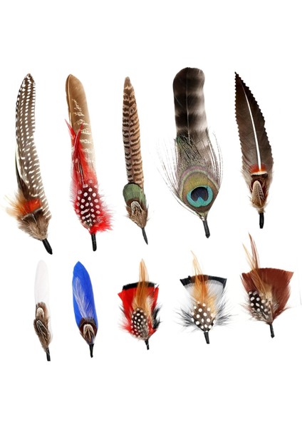 Ş Tüyleri El Sanatları Fedora Şı Için Tüyler Şı Trilby Ş A (Yurt Dışından) indirimleri