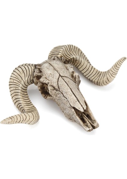 3D Reçine Heykeli S Dekorasyonu Başı Büyük (Yurt Dışından) modelleri