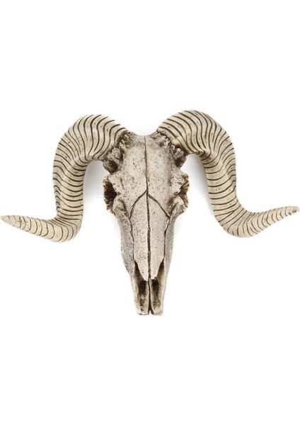 3D Reçine Heykeli S Dekorasyonu Başı Büyük (Yurt Dışından) fırsatları