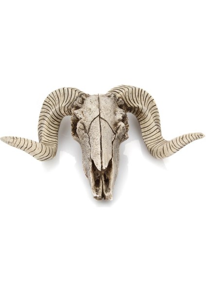 3D Reçine Heykeli S Dekorasyonu Başı Büyük (Yurt Dışından) indirimleri