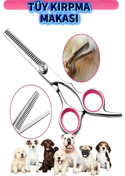 Evcil Hayvan Tıraş Kuaför Petshop Veteriner Seti 5 Parça XLQ507SET