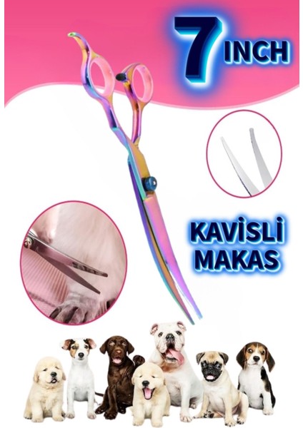 Evcil Hayvan Tıraş Kuaför Petshop Veteriner Seti 5 Parça XLQ507SET