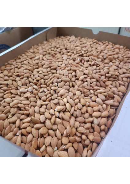 Toptan Kayısı Çekirdeği 25 kg
