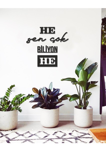 He Sen Çok Biliyon He Duvar Yazısı