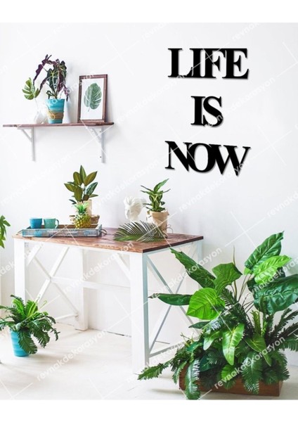 Life Is Now Duvar Yazısı
