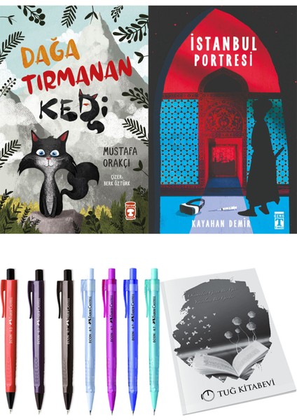Istanbul Portresi ve Dağa Tırmanan Kedi 2li Set