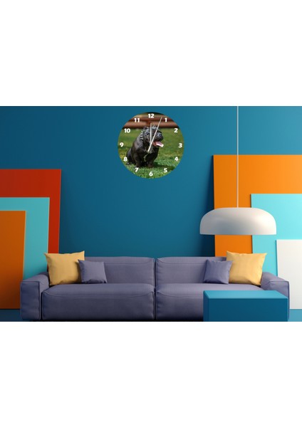 Pitbul 30 x 30 cm Akrilik Dekoratif Modern Duvar Saati
