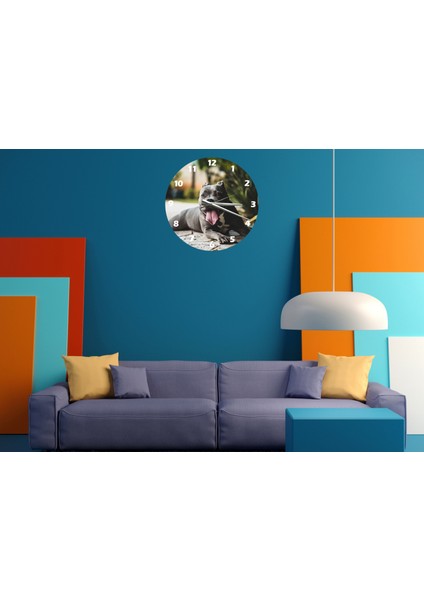 Pitbul 30 x 30 cm Akrilik Dekoratif Modern Duvar Saati