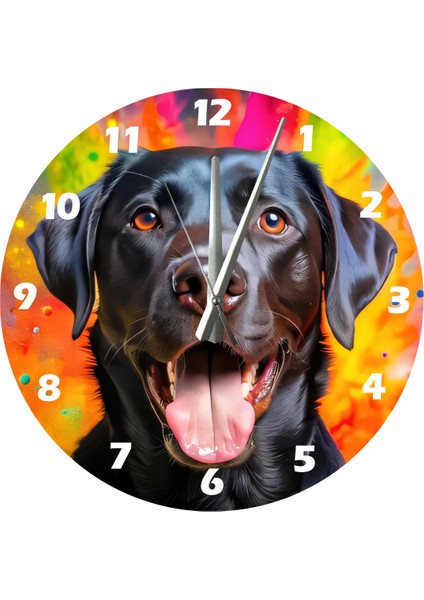 Siyah Labrador 30 x 30 cm Akrilik Dekoratif Modern Duvar Saati fiyatları