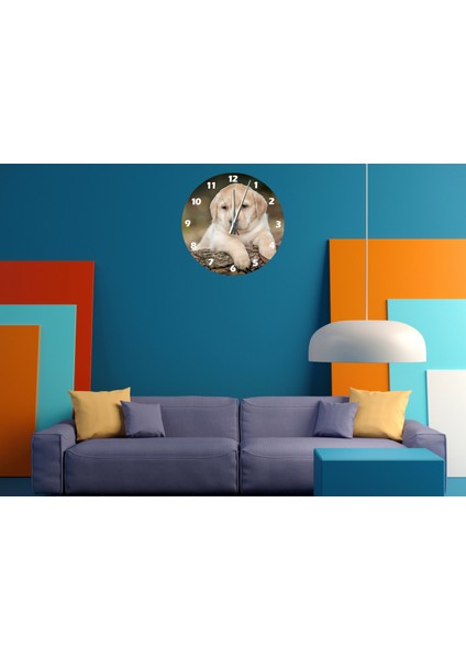 Tatlı Yavru Labrador 30 x 30 cm Akrilik Dekoratif Modern Duvar Saati