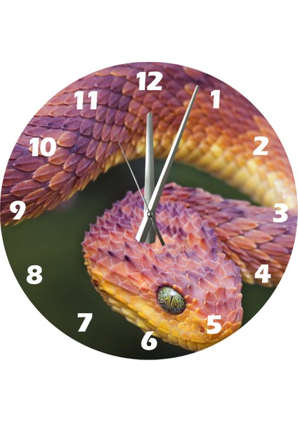 Yılan 30 x 30 cm Akrilik Dekoratif Modern Duvar Saati fiyatları