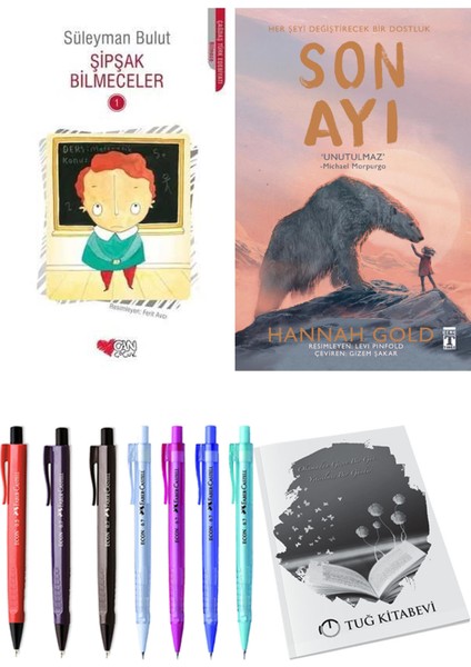 Son Ayı ve Şipşak Bilmeceler 1 2li Set