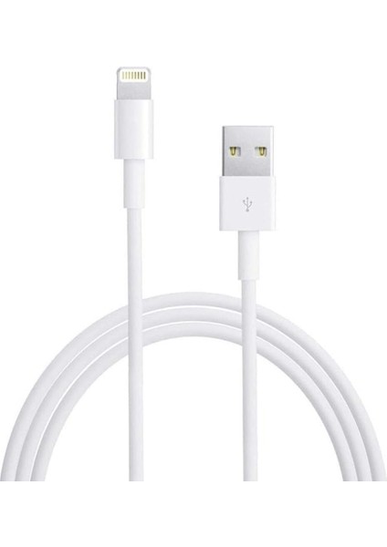 3 Metre 2A IPHONE Lıghtnıng Şarj ve Data Kablosu (4886)
